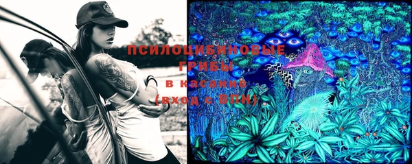 кокс Абинск