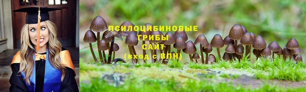 стаф Абдулино