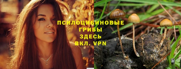 мескалин Абаза