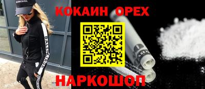 молекула духа Камышлов