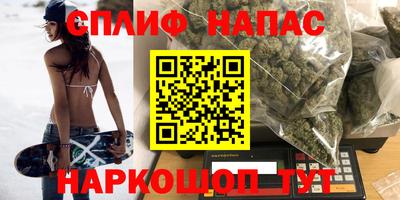молекула духа Камышлов