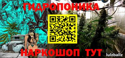 молекула духа Камышлов