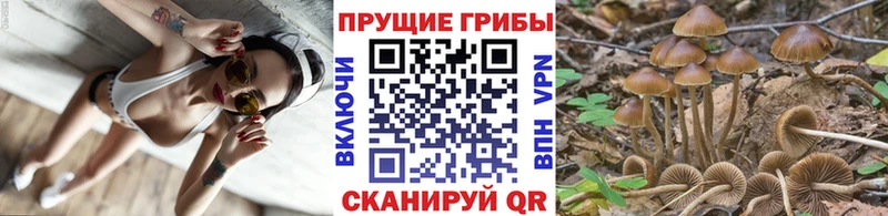 где найти наркотики  Назрань  Галлюциногенные грибы Magic Shrooms 