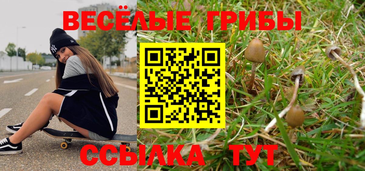 Галлюциногенные грибы Magic Shrooms  Вход с VPN  Галлюциногенные грибы мухоморы  Назрань 